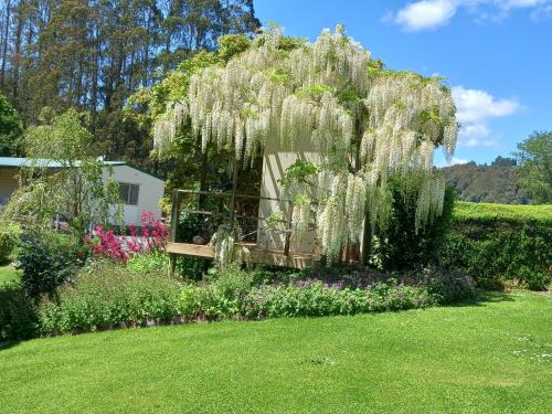 Aria Bed & Breakfast | Aramatai Gardens