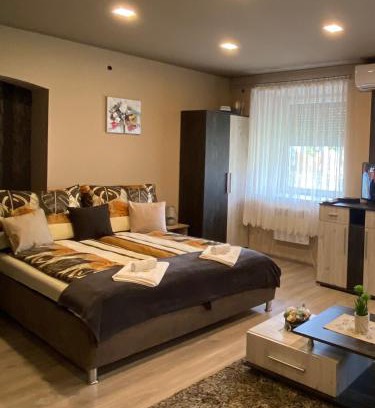 Tokaj Apartment | Aranyfürt Apartmanház
