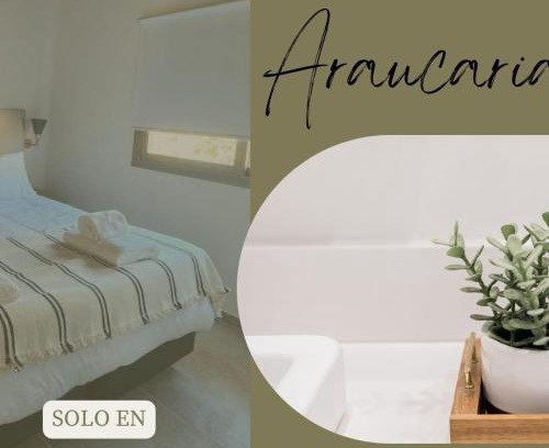 San Rafael Ski Chalet | ARAUCARIA Resort