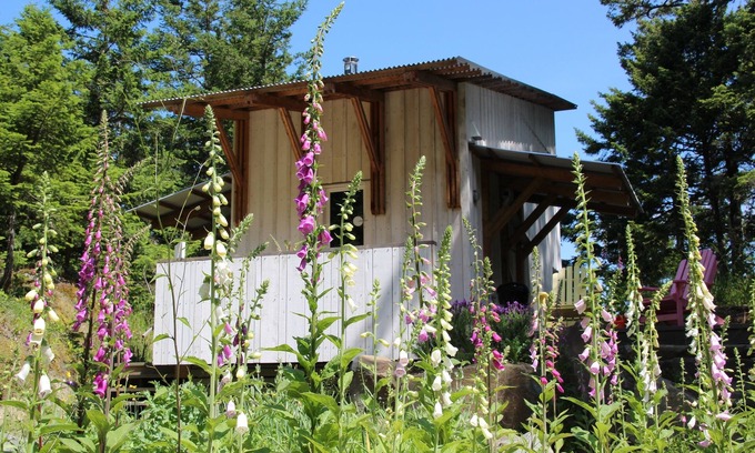 Pender Island Cottage | Architect designed cabin in the woods, Pender Island
