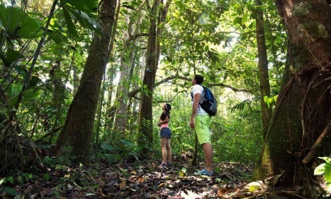 La Fortuna House | Arenal ginger home. n La atmósfera perfecta para ese merecido descanso.n