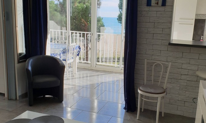 Argeles Plage Apartment | Argelès - Sea front (renovated) - Sea view - 20m beach (direct access) - wifi