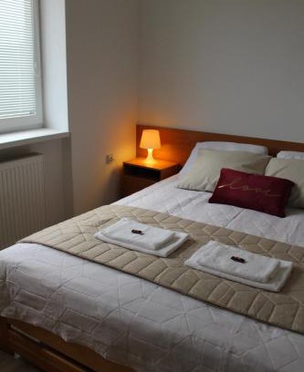 Velky Meder Apartment | Ariel