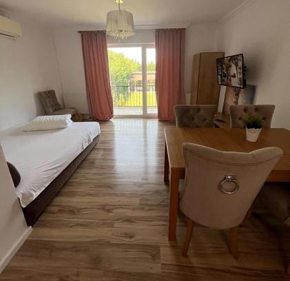 Timisoara Apartment | Armonia Apartments