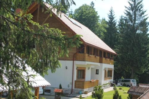 Arieseni House | Arnica Montana