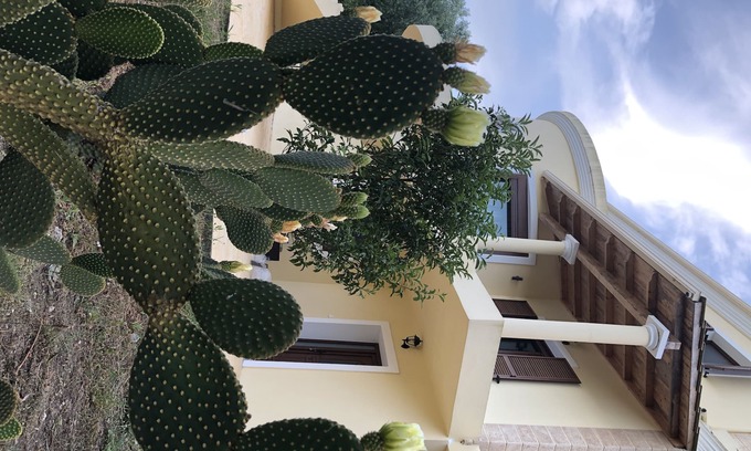 Liapades House | AROMIA CORFU IN CORFU The apartment is located in a villa in the area of Paliο