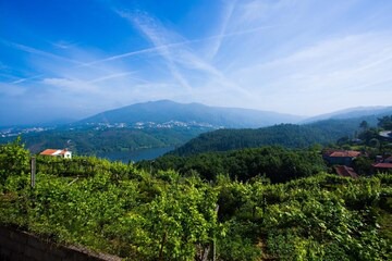 Castelo de Paiva House | Arrabia Bunga Douro in Raiva