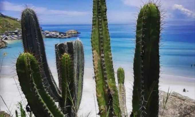 Praia Grande House | arraial house 3 suites