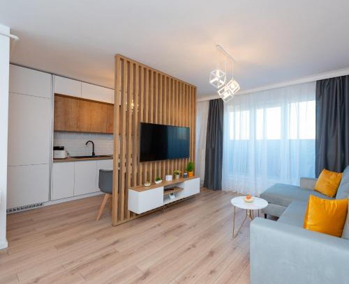 Tirgu Mures Apartment | ART Apartment II