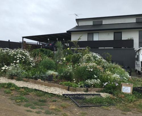 Huonville Bed & Breakfast | Art House