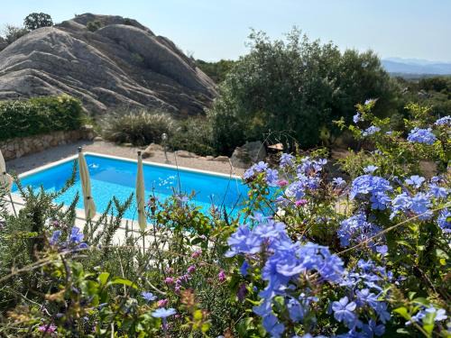 San Teodoro Villa | Art Villa