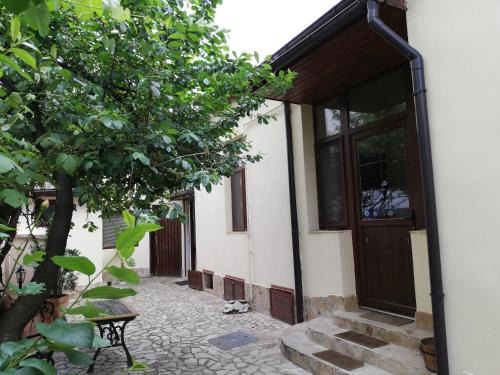Timisoara House | Arthouse Lucrezia