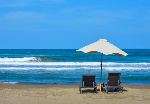 Playa Chachalacas Hotel | Artisan Playa Esmeralda Family Beach Hotel