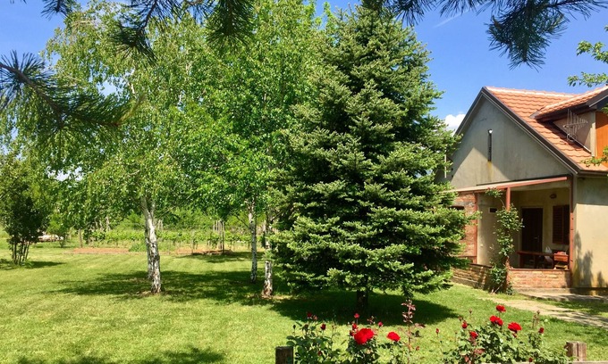 Pricelje House | Artist ranch with vineyard, piano, kayak, bicycles and beautiful garden.