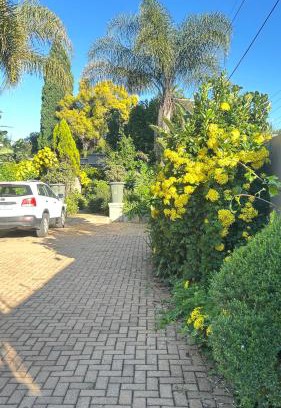 Greater Johannesburg Metropolitan Area Apartment | Artzy's Studio - 1km to Olivedale Clinic