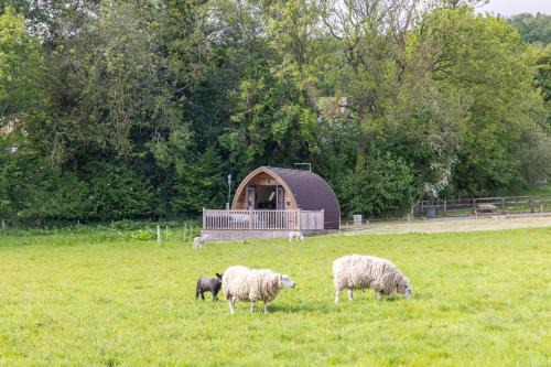 Ampleforth House | Ashberry Glamping Pod