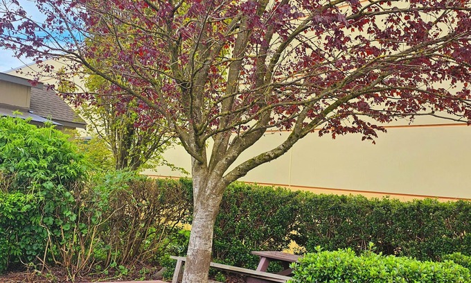 Tillamook Hotel | Ashley Inn of Tillamook