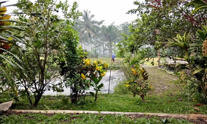 Banyuwangi House | Asparin Homestay