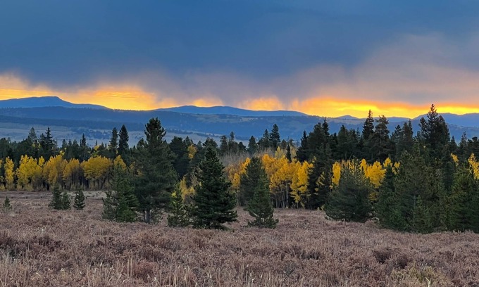 Fairplay Cabin | Aspens! 2 ACRES AMAZING LOG CABIN, HOT TUB FIREPLACE VIEWS PRIVATE