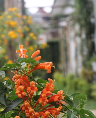 Arusha Apartment | At Home Suites, Moshono Garden Arusha