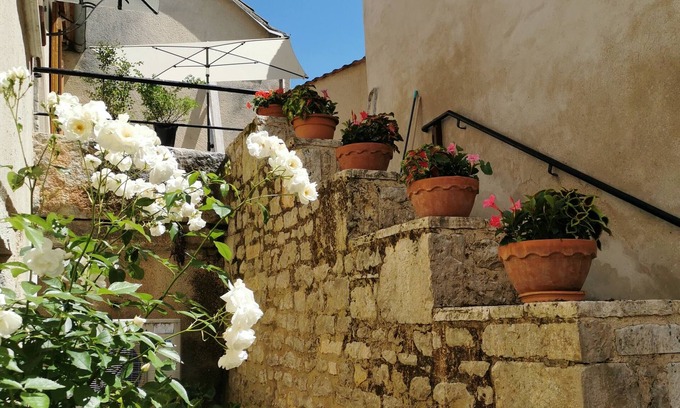 Blars House | At Joséphine's lodgings