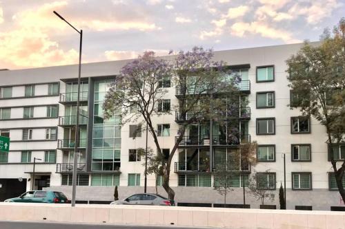 Zona Rosa Apartment | At the heart of restaurants and night life