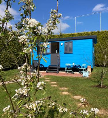 Moville Other | Atlantic Way Shepherd Hut