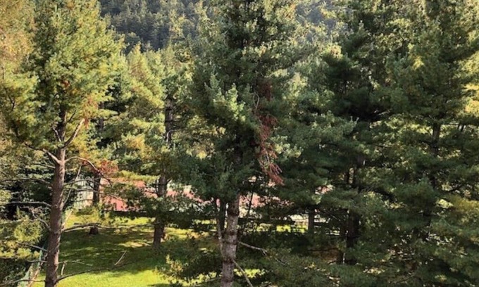 Santa Maria Maggiore Apartment | Attic 1,5 km from the cable car