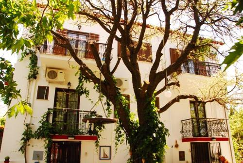Kamariotissa House | Atzanou Rooms