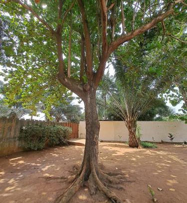 Ouidah Apartment | Au Bel Air