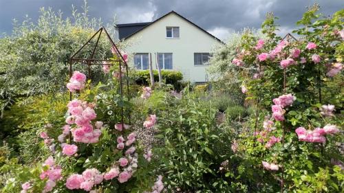 Krampfervorstadt House | Auberge L'Art