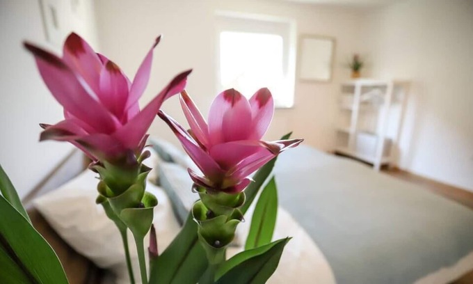 Lechhausen-Ost Apartment | ☆ AUGSBURG'S BIGGEST | 4 Bedrooms|Parking|Kitchen
