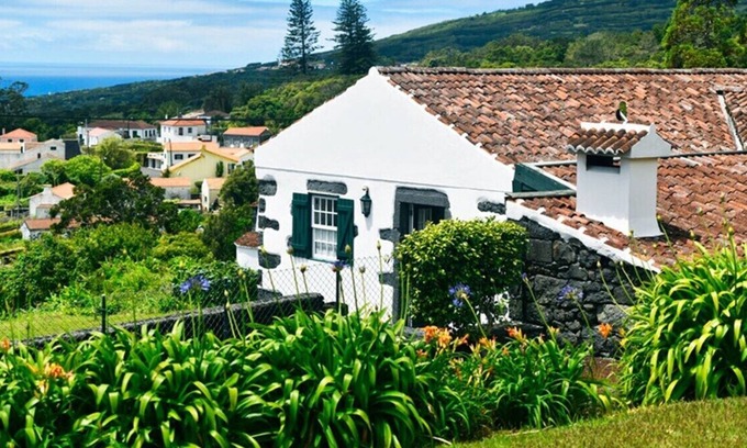 Capelo House | Auntie's House