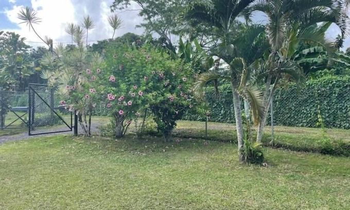 Apia Villa | Aunty Fou's Home