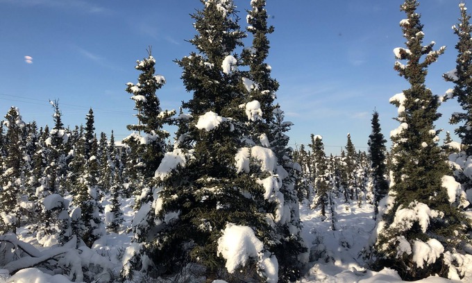 Healy Hotel | Aurora Denali Lodge