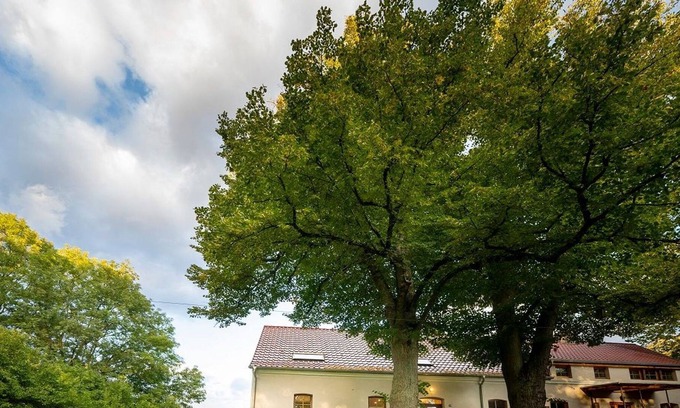 Muncheberg Apartment | Auszeit auf dem Brigittenhof