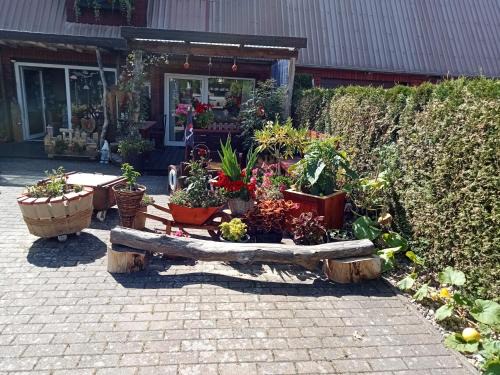 Wolfshagen Apartment | Auszeit-Schoenenwalde