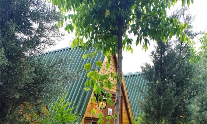 Cinarcik Apartment | Authentic Bungalow w Garden Near Beach in Armutlu
