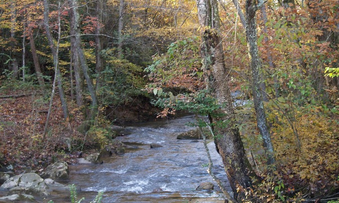 Blue Ridge Other | Authentic Farmhouse On Weaver Creek, Near Town And Lake