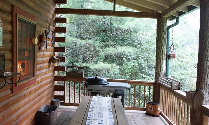 Lake Sequoyah Cabin | Authentic Highlands Log Cabin with Dock, Canoe + Fire Pit