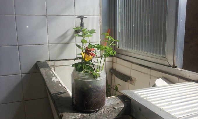 Cristo Redentor Apartment | Available to rent apartment. 1 bedroom 13 m², with furnished bathroom. Large pieces.