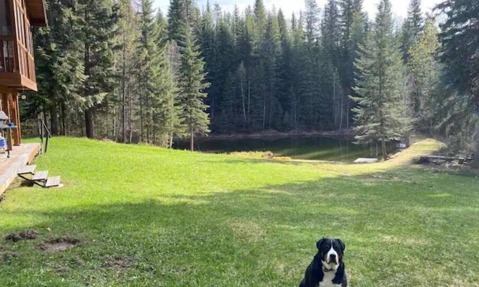 Blaeberry Ski Chalet | Avery Creek Chalet