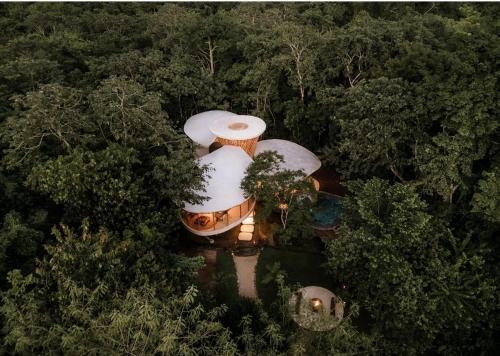 Yucatan Peninsula Cabin | Awakening Sanctuary
