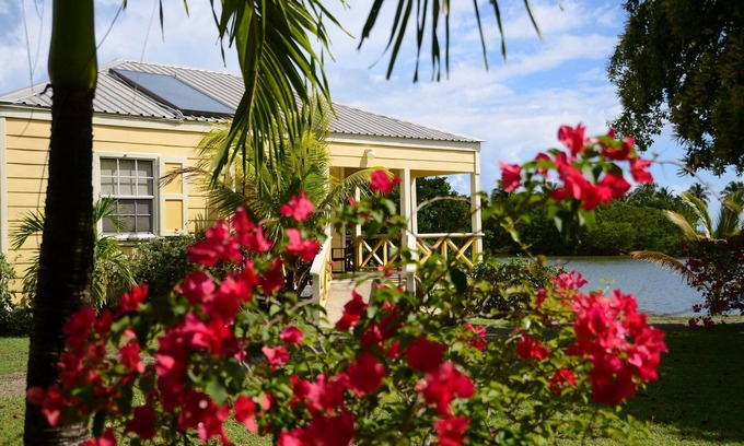 St. John's Cottage | Award-Winning, Charming Cottage in a 6-minute walk from a white sand beach.