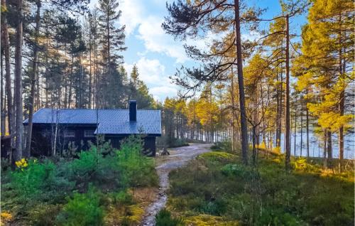 Hauggrend House | Awesome Home In Fyresdal With Kitchen