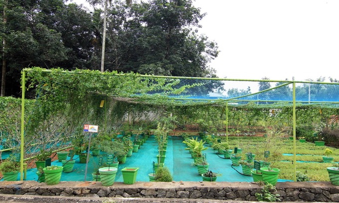 Peringandoor Hotel | Ayur Bethaniya Ayurveda Hospital
