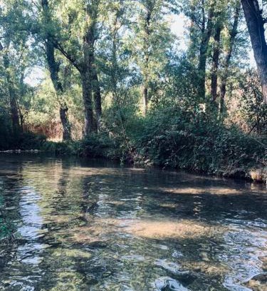 El Bosque Apartment | Azahares Apartamento turístico