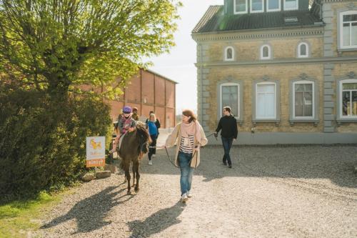 Sahrensdorf House | Büdlfarm - Der Familien-Erlebnishof in Strandnähe