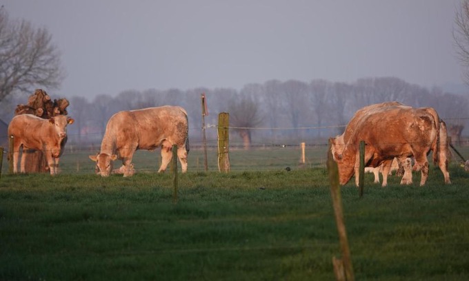Steenderen Bed & Breakfast | B&B Bij Bronckhorst