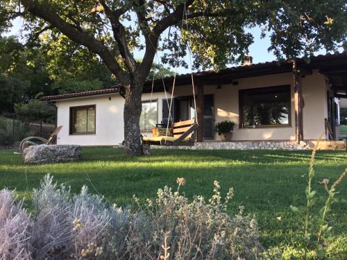 Poggio Nativo Bed & Breakfast | B&B da Odila